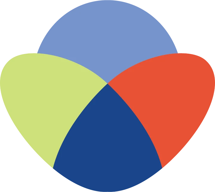 Four overlapping shapes representing the four domains